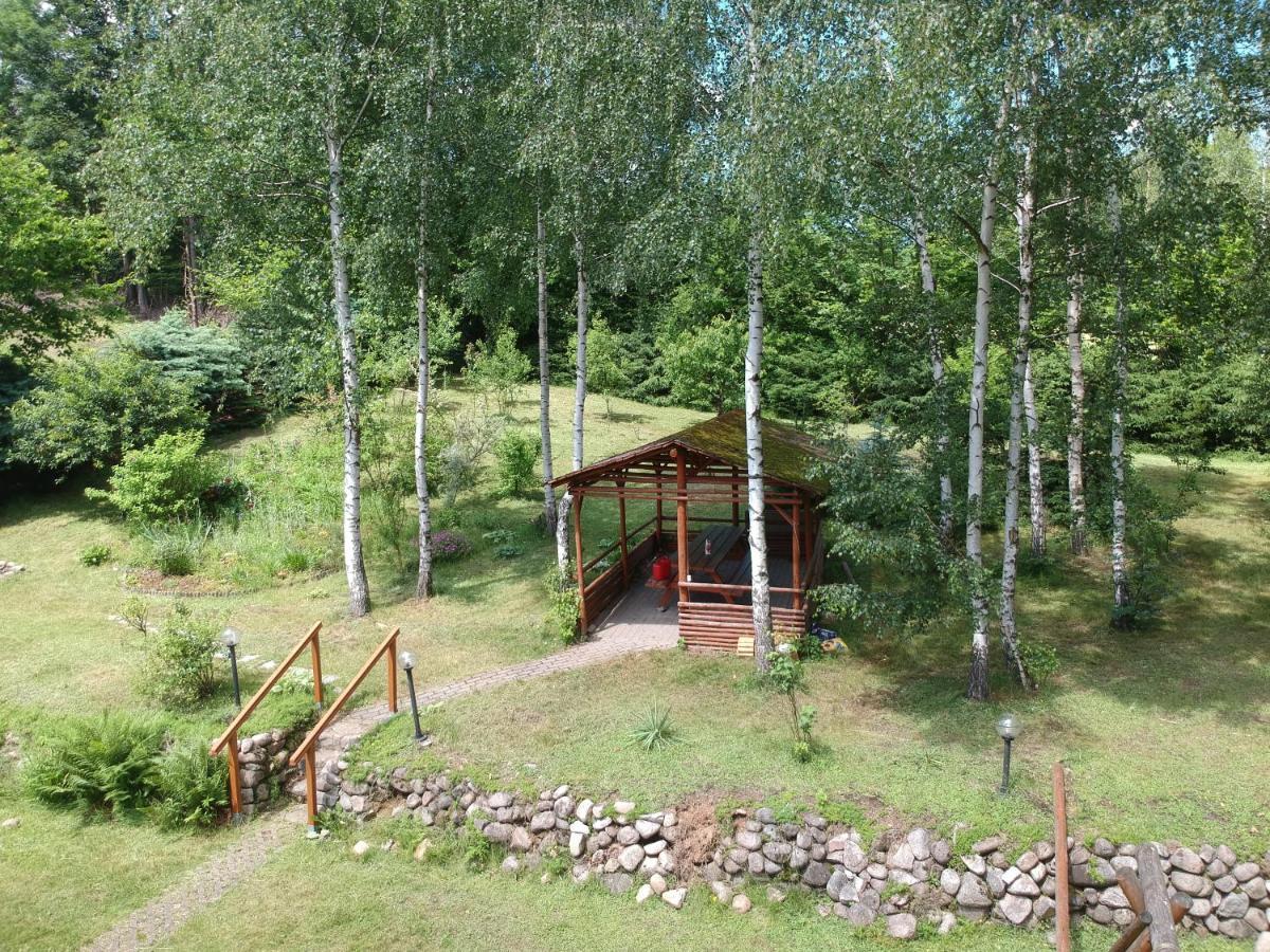 Chata Gorska Sowa Dla 12 Osob, 4 Sypialnie,Salon Z Kominkiem Villa Podgorzyn Bagian luar foto