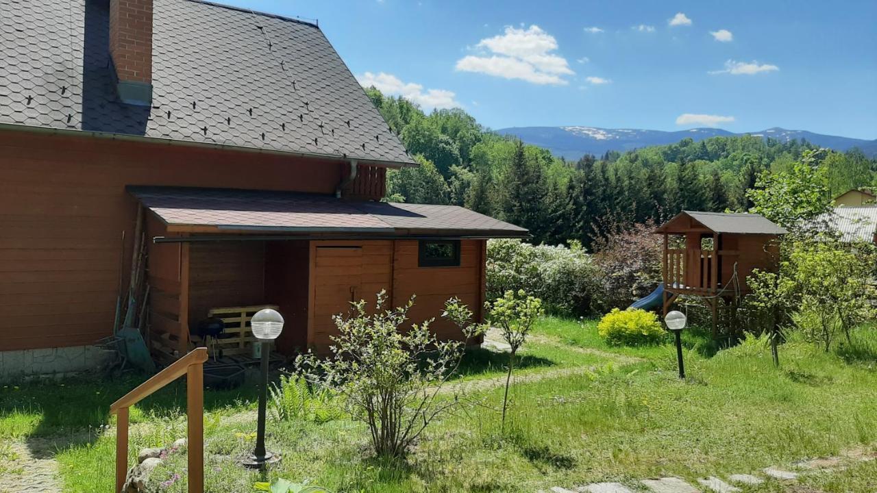 Chata Gorska Sowa Dla 12 Osob, 4 Sypialnie,Salon Z Kominkiem Villa Podgorzyn Bagian luar foto