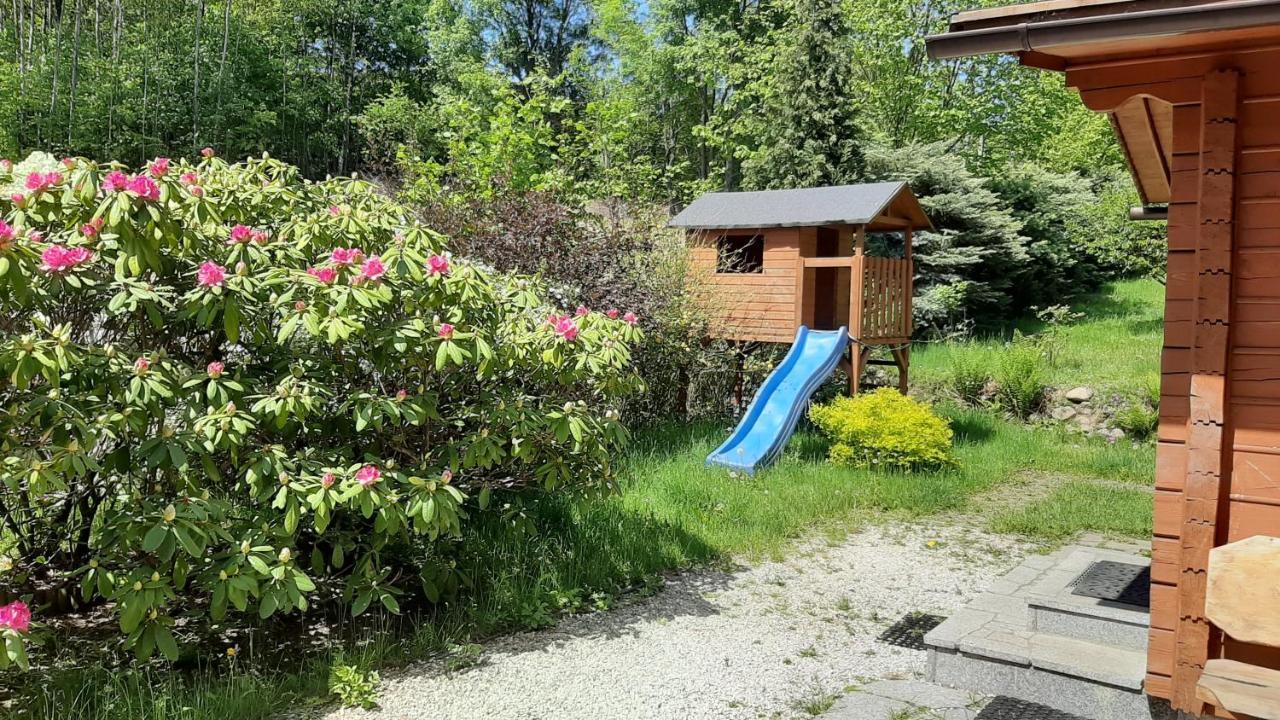 Chata Gorska Sowa Dla 12 Osob, 4 Sypialnie,Salon Z Kominkiem Villa Podgorzyn Bagian luar foto