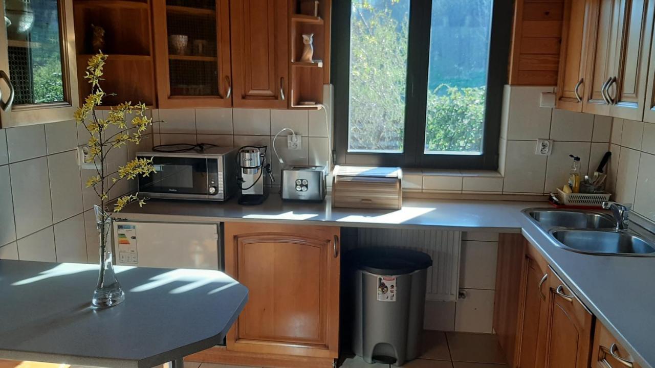 Chata Gorska Sowa Dla 12 Osob, 4 Sypialnie,Salon Z Kominkiem Villa Podgorzyn Bagian luar foto