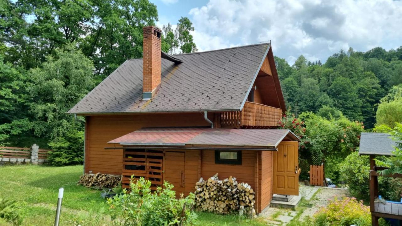 Chata Gorska Sowa Dla 12 Osob, 4 Sypialnie,Salon Z Kominkiem Villa Podgorzyn Bagian luar foto