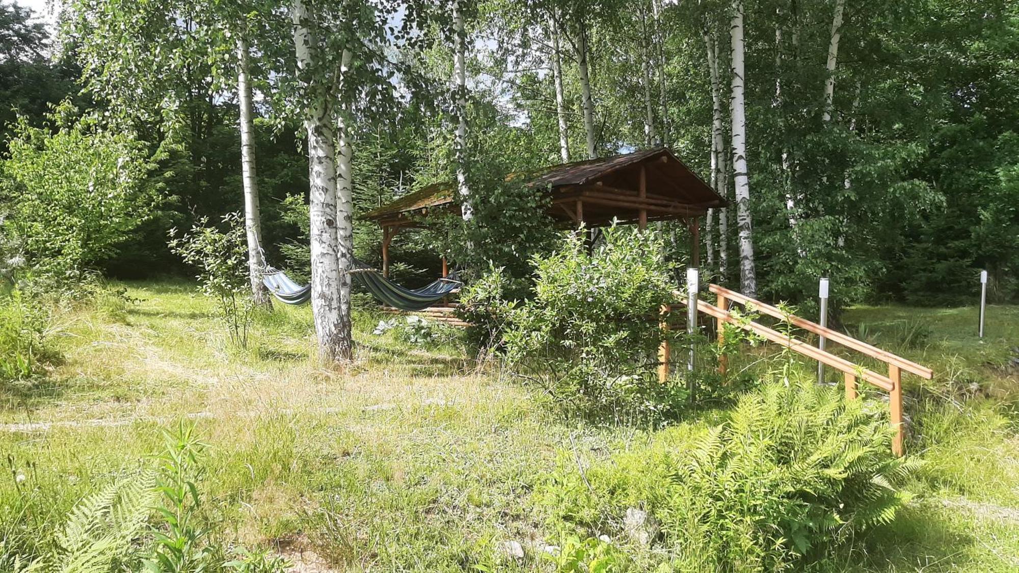 Chata Gorska Sowa Dla 12 Osob, 4 Sypialnie,Salon Z Kominkiem Villa Podgorzyn Bagian luar foto